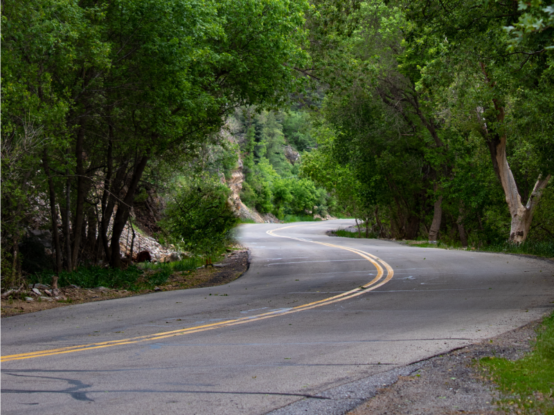 WInding Road